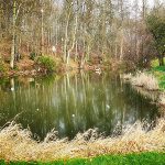 Teich nahe der Quelle des Flehmebachs im Schneetreiben